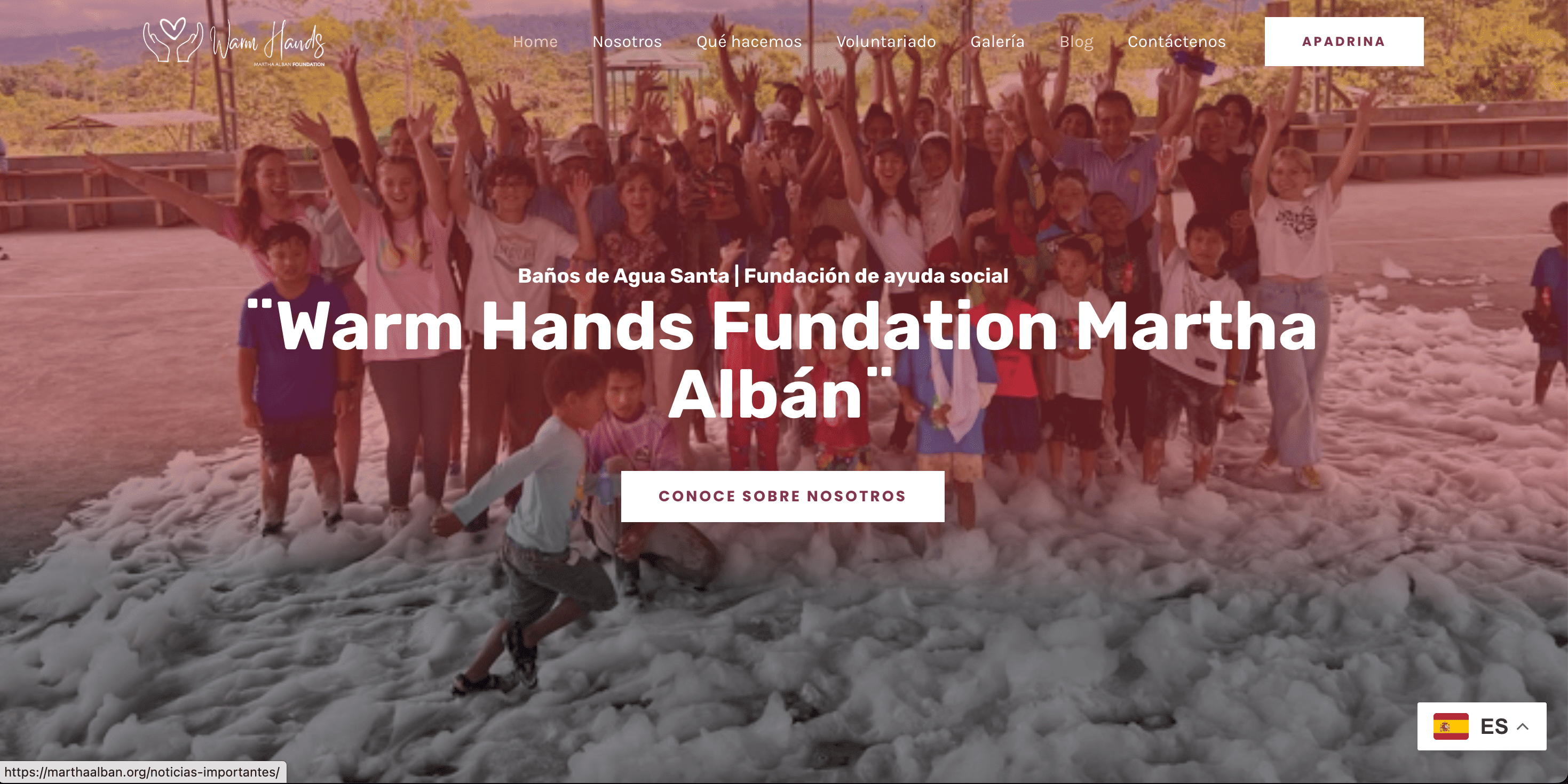 Martha Albán, Warm Hands Fundation
